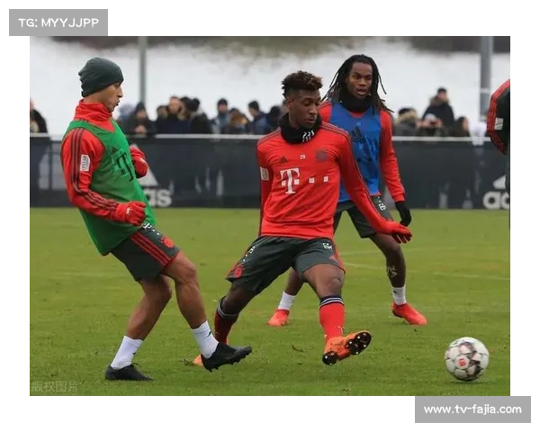 涪城铁牛队球迷分析战术，业余赛场现专业视角