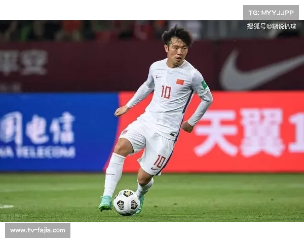 张稀哲、武磊伤病影响出场率，实用价值仍受肯定